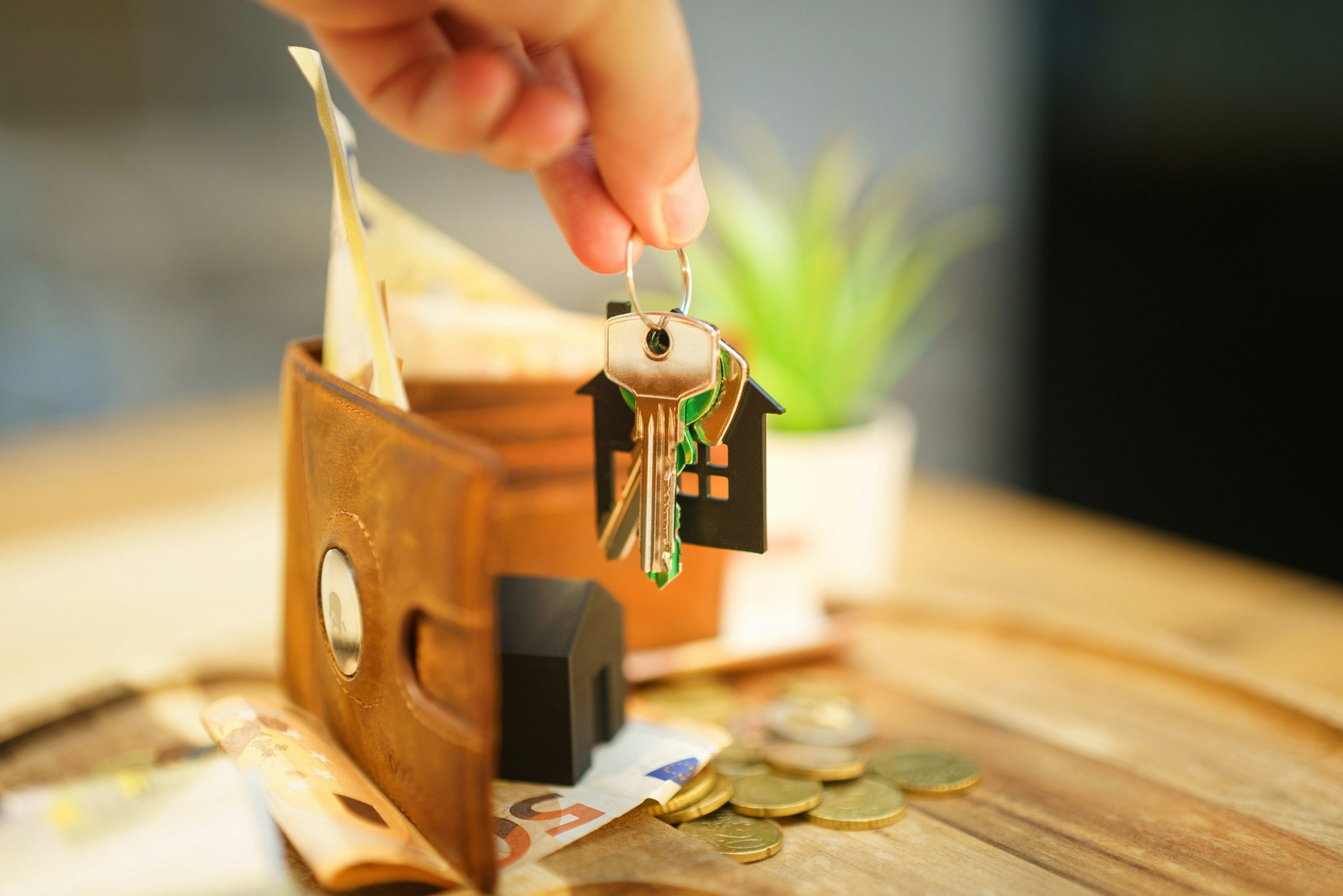 buy to let property